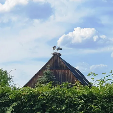 Sonnendeck Spreewald *